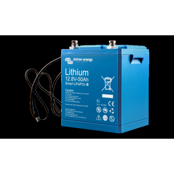 LiFePO4 Lithium accu 50Ah