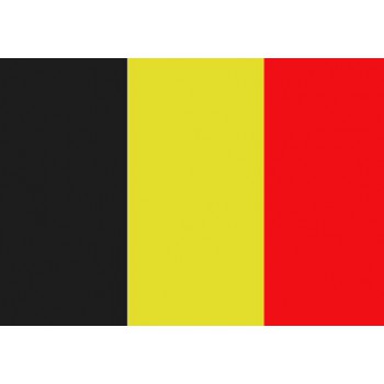 Belgische vlag 20x30