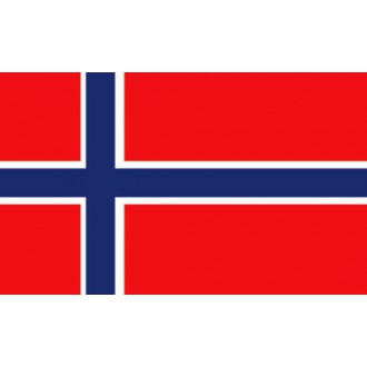 Noorse vlag 30X45