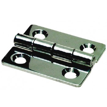 Scharnier rvs 38x101mm