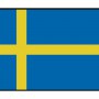 Zweedse vlag 30X45