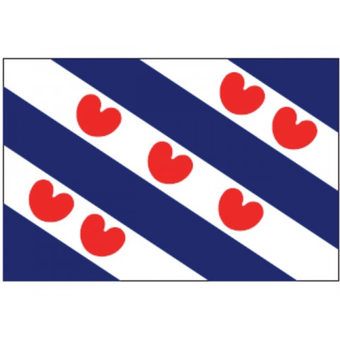 Friese vlag  40X60
